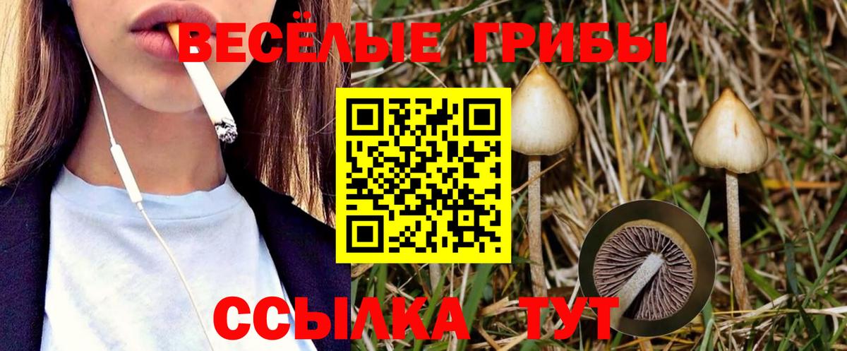 Псилоцибиновые грибы Magic Shrooms Губкин