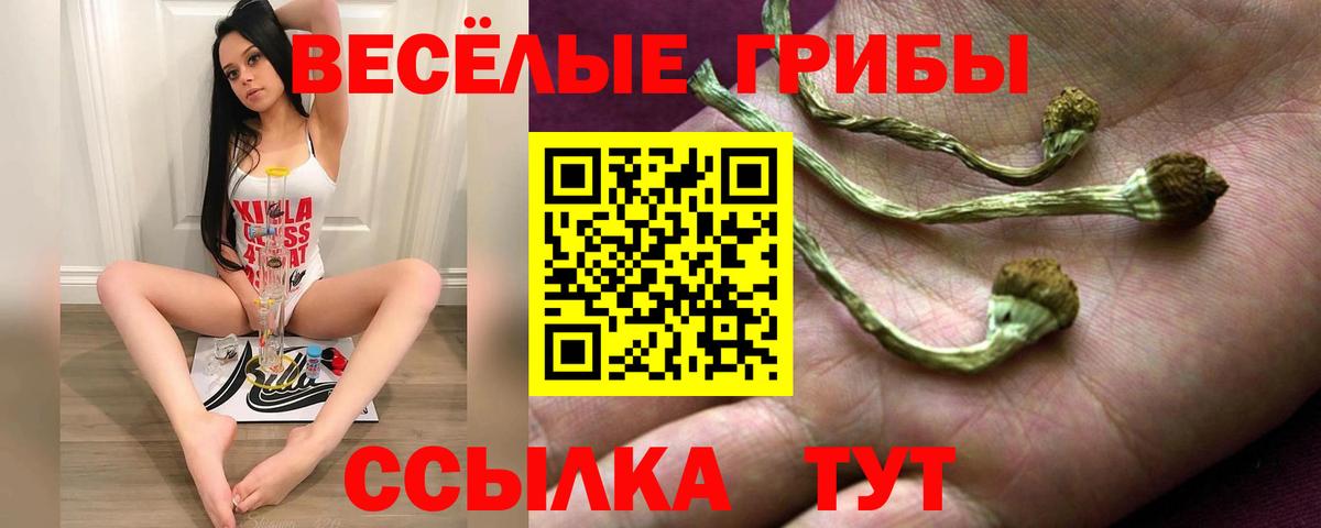 Галлюциногенные грибы ЛСД  даркнет сайт  Губкин  Вход с VPN  Галлюциногенные грибы Cubensis 