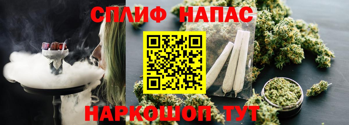Шишки марихуана марихуана Губкин